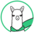alpaca-finance