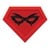 SUPA Foundation